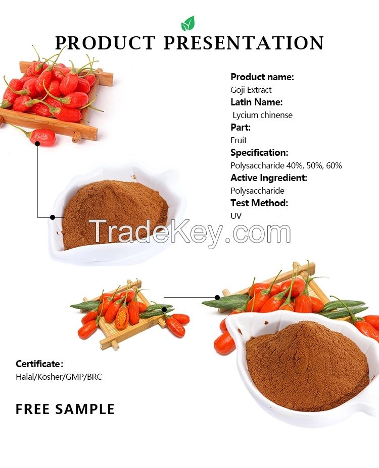 Lycium barbarum Goji berry powder extract Chinese wolfberry medlar