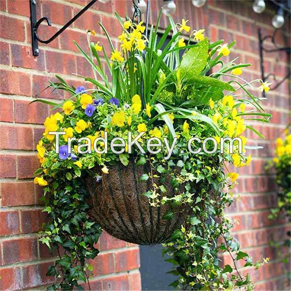 Hanging Basket