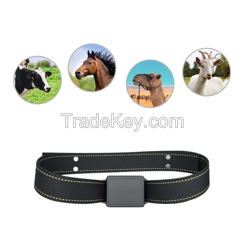 Aodiheng Professional cattle  pet GPS tracker with soalar charge tracking device real time location 