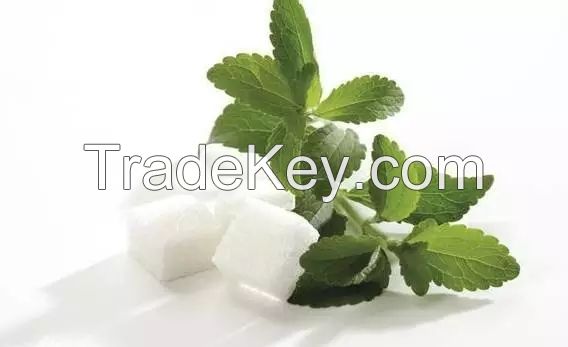 High Quality Stevia Powder