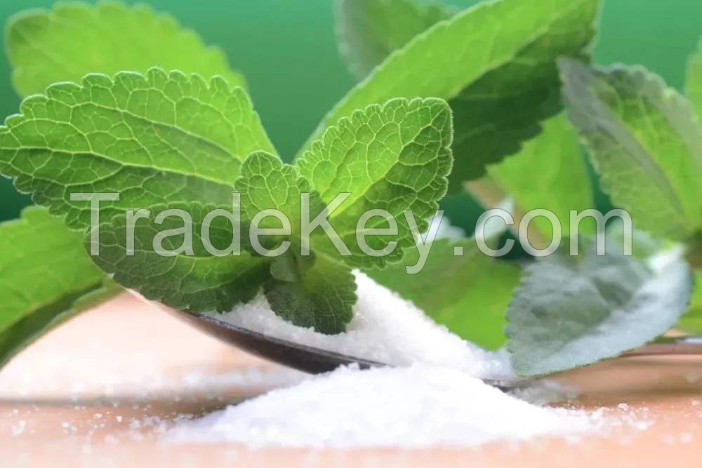 High Quality Stevia Powder