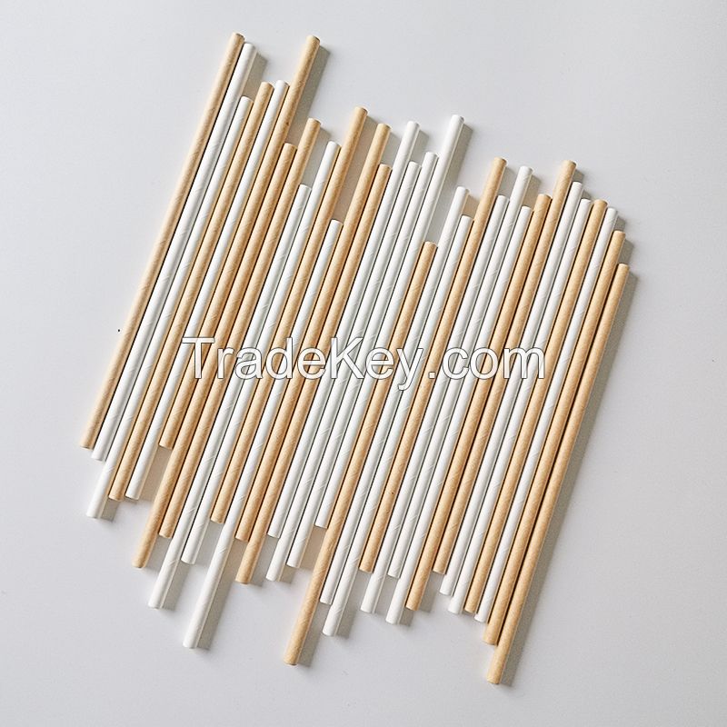 2020 Top Sales Customized Biodegradable Paper Straws 