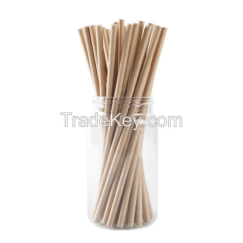 2020 Top Sales Customized Biodegradable Paper Straws 