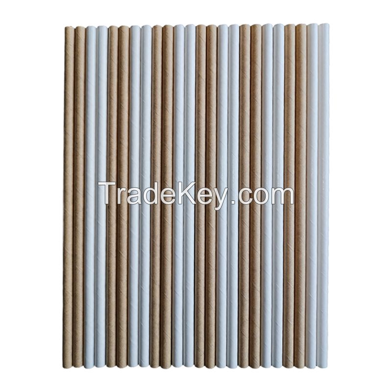 China Factory OEM ODM Brand Logo Printed Paper Straw With Custom 