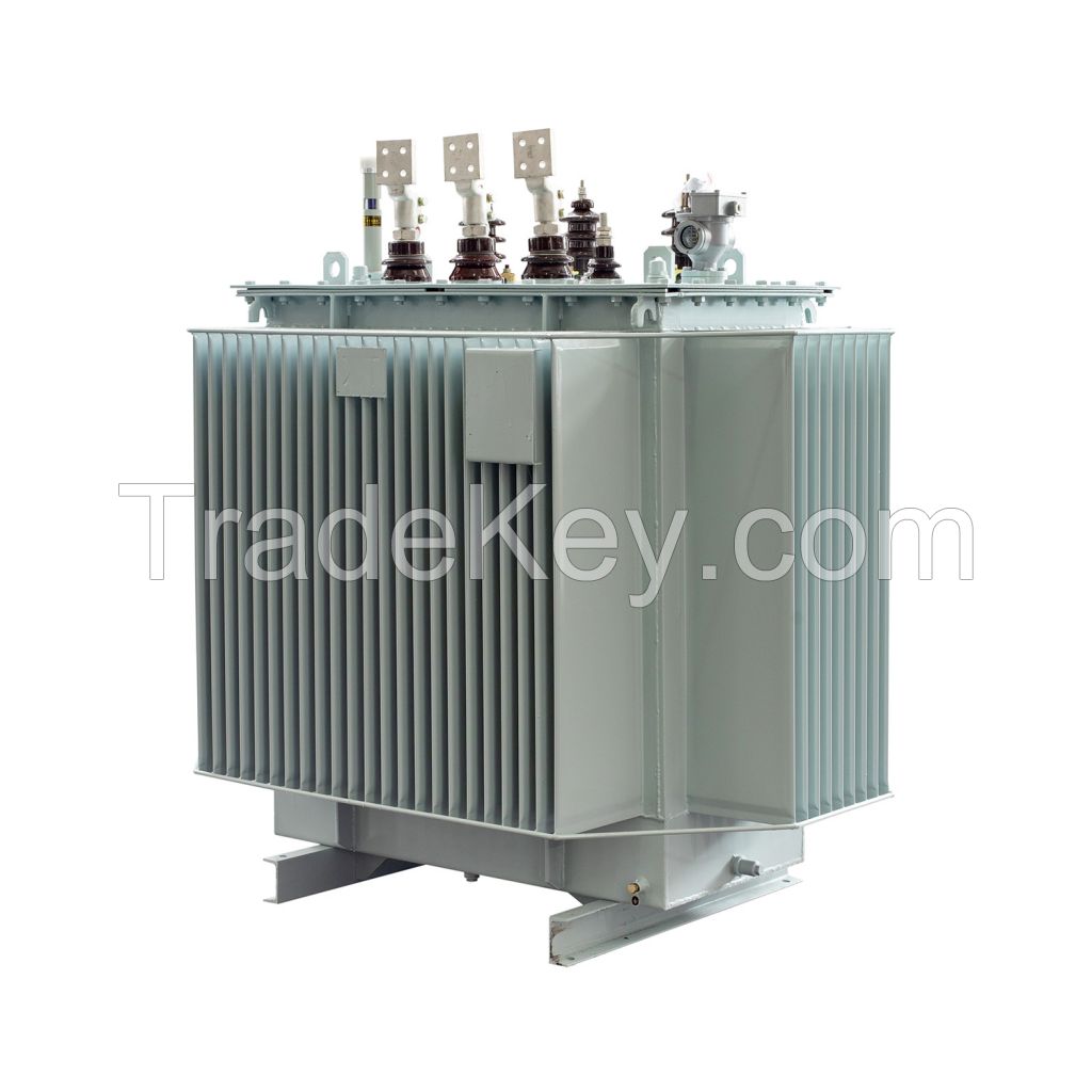 Oil-immersed distribution transformer