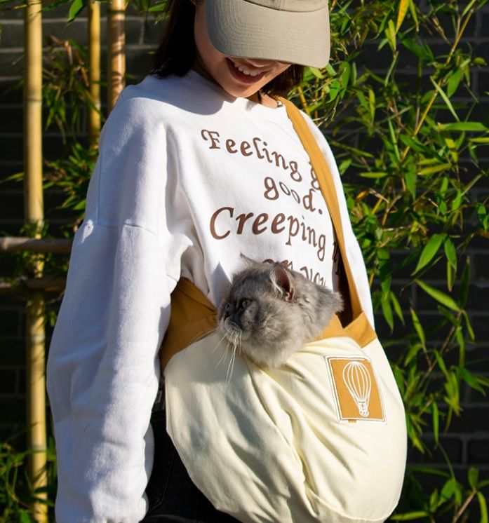 cat carrier shoulder bag