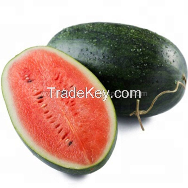 High yield and resistance hybrid watermelon seeds