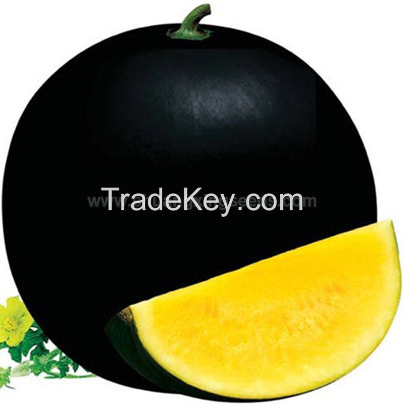 Black girl 2 Chinese yellow flesh watermelon seeds for planting