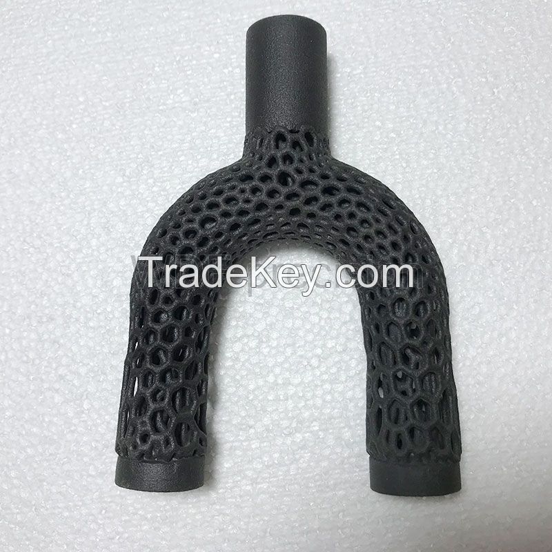 Nylon 3D Printing (SLS Laser Sintering Molding)