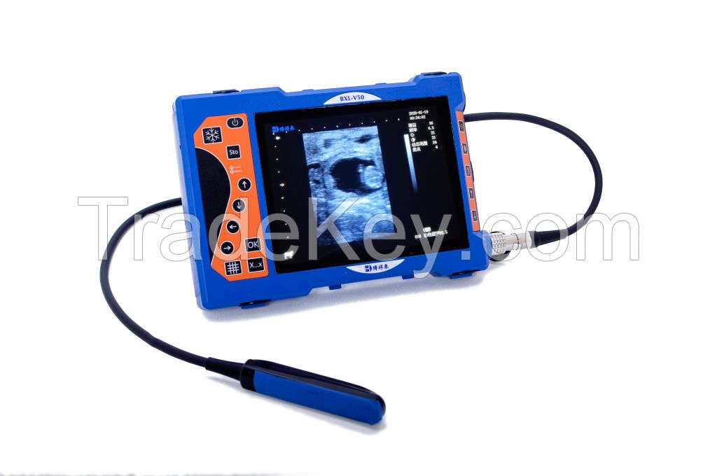 Veterinary Handheld Ultrasound Scanner