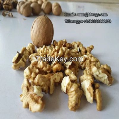 Various Sizes Walnut Kernels Supplier First Quality Walnut Kernel