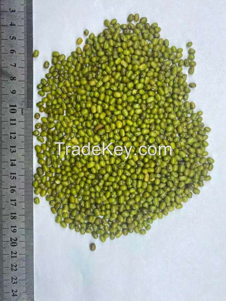 Green Mung Bean