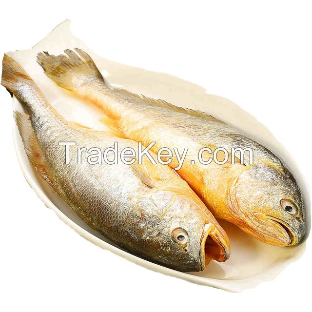 China Origin Frozen Yellow Croaker Fish Maw