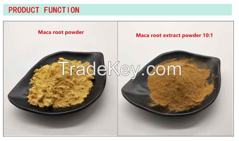 Maca  Extract Powder