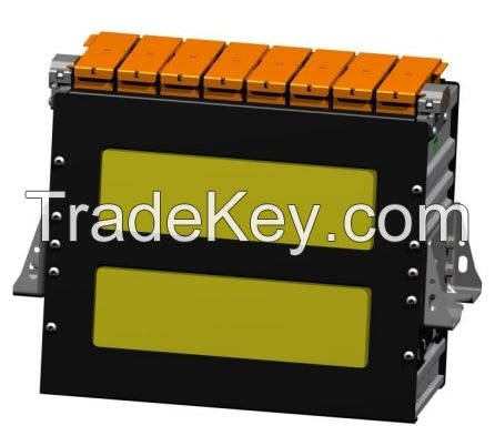 1P8S Lithium ion Battery Modules