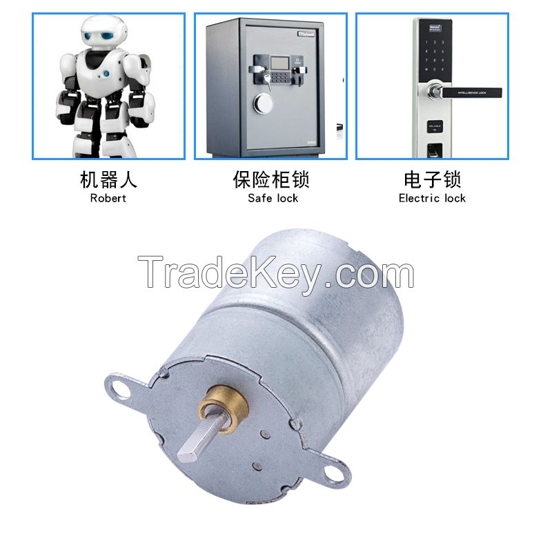 DC Motor HR300-25