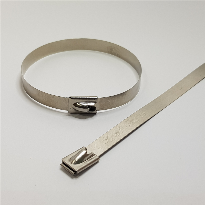 Stainless steel cable ties