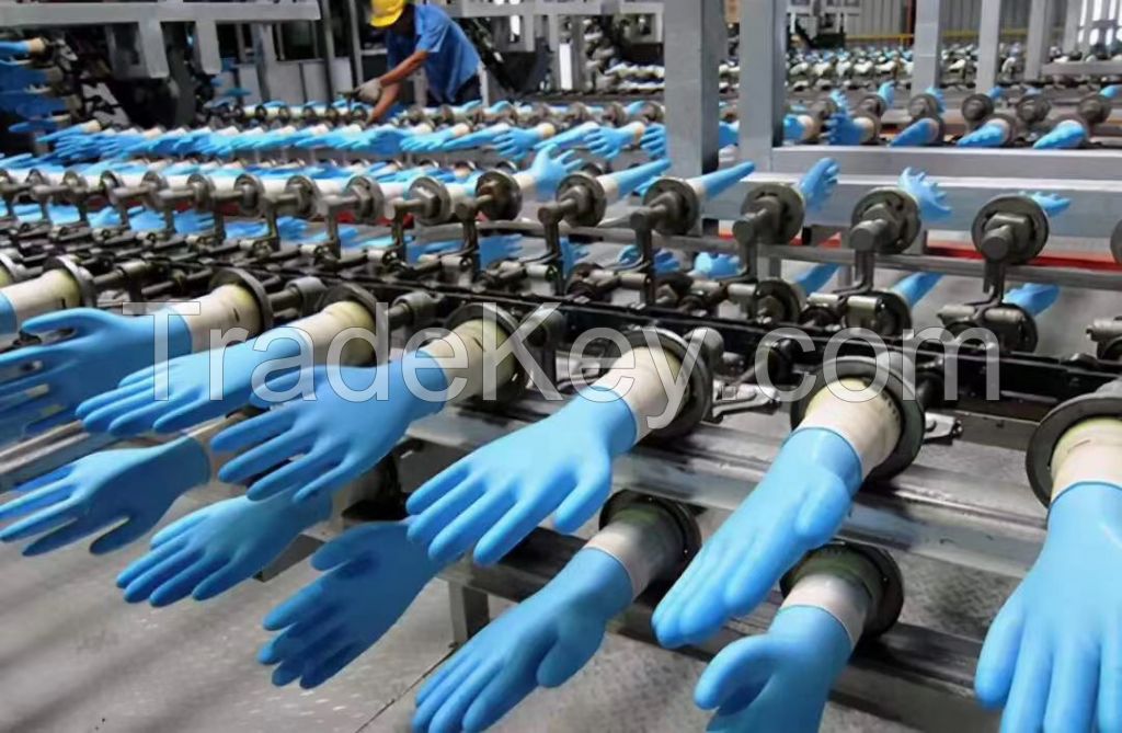 Nitrile EXam Glove