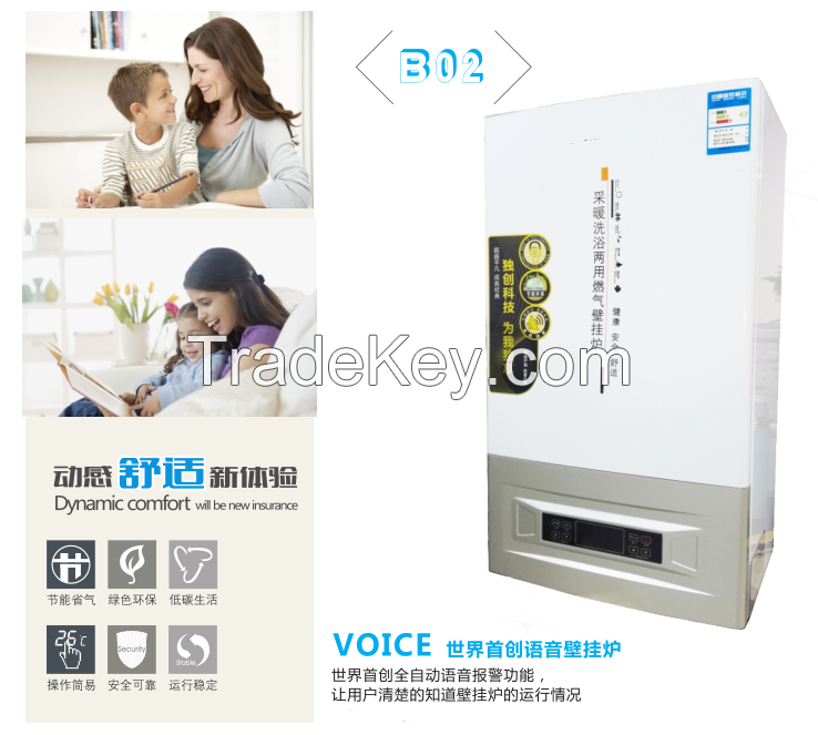 Wall mounted gas boiler