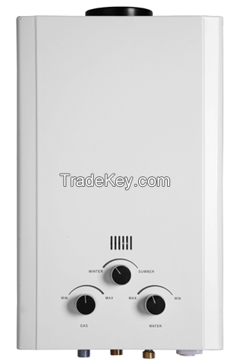 Flue type gas water heater