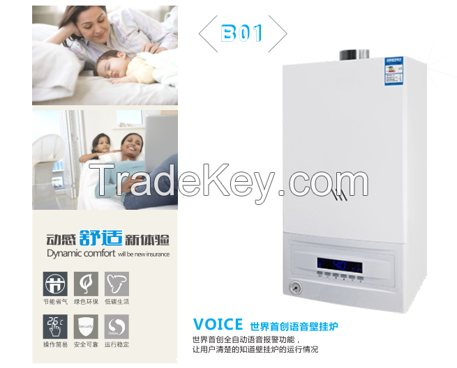 Wall mounted gas boiler