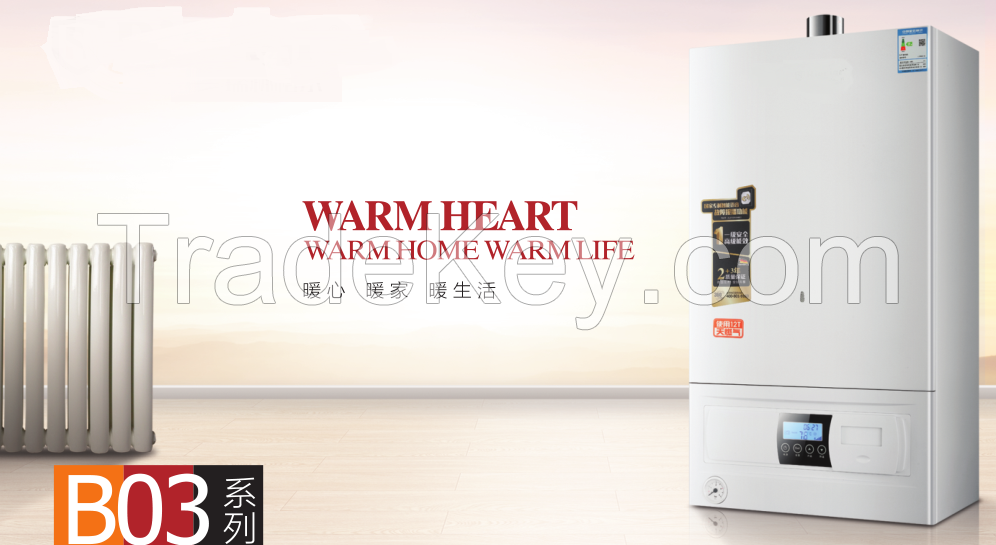 Wall mounted gas boiler