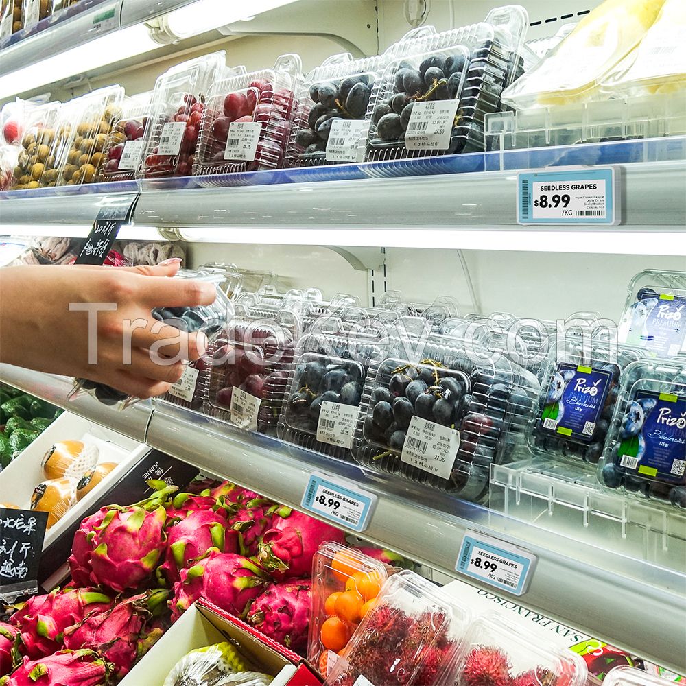 Suny 1.54inch Electronic Shelf Label for retail stores