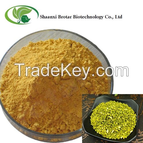 Sophora Japonica Extract Powder Quercetin 98%/Quercetin Powder/Quercetin Dihydrate 98%