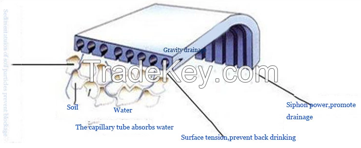 High permeability PVC Siphonic Roof Plastic Capillary Drainage Board