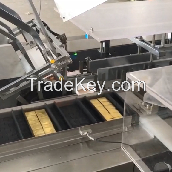 cartoning packing machine HLD-100