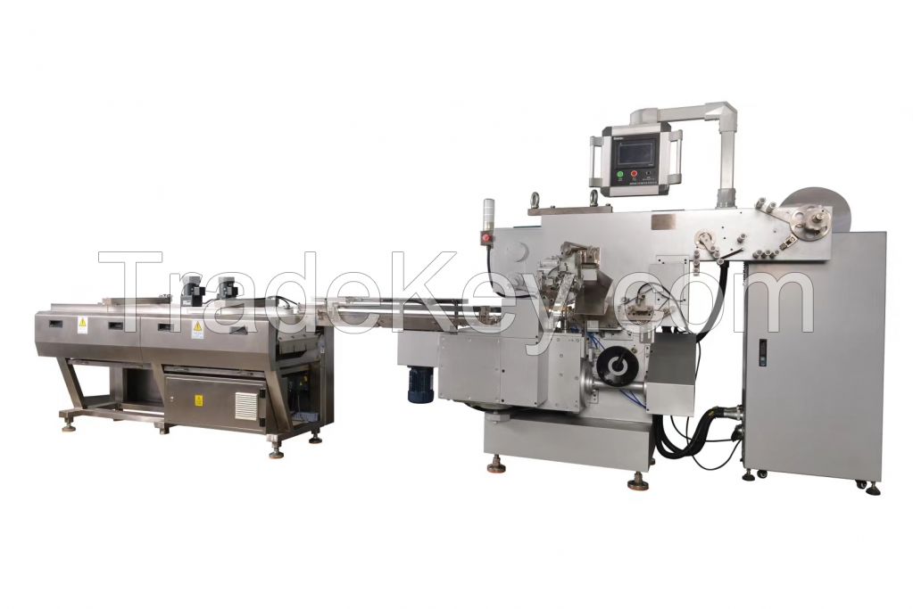 chicken bouillon packing machine EEZ-400