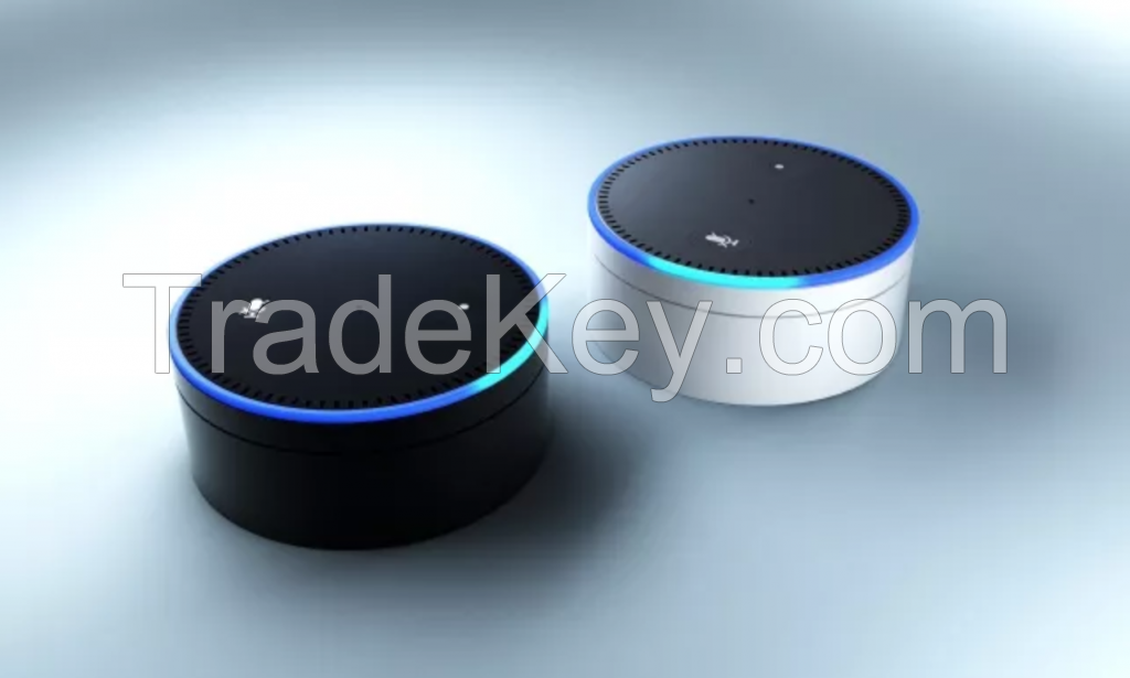 Automatic smart speaker