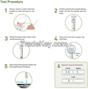 RIDX AIV Ag Rapid Test Kit