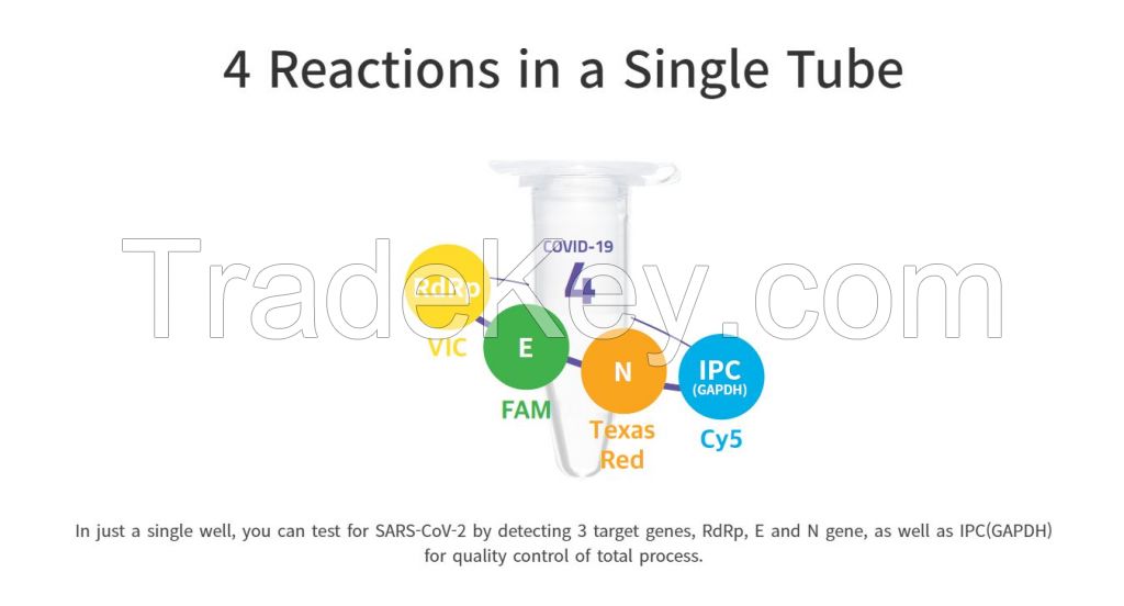 1copy COVID-19 4plex Kit