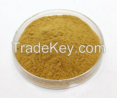 Honeysuckle Flower Extract