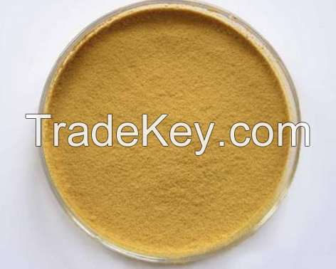 Ginseng Extract