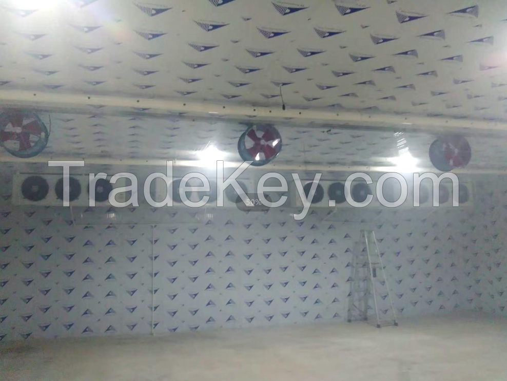 Fish Cold Storage Room, Freezer Refrigerator, Frozen Cold Room Equipment