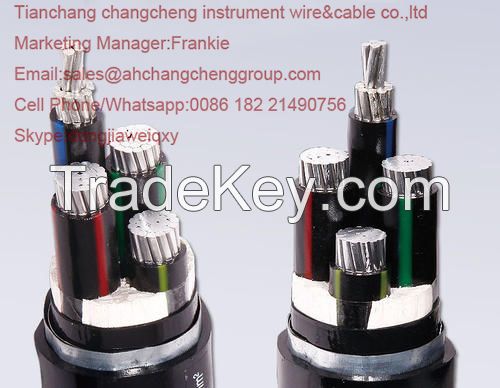 Power Cable