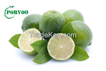 Hesperidin 90%-95%, Citrus Aurantium Extract CAS No 520-26-3