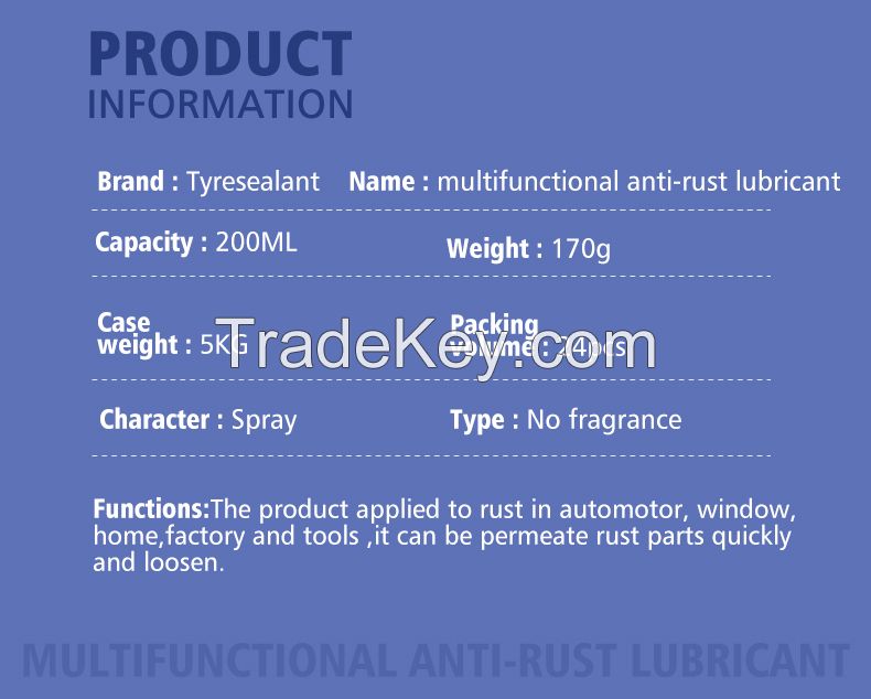 Lubricant Spray anti-rust silicone 600ml China