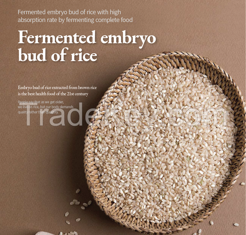 Fermented embryo bud of rice