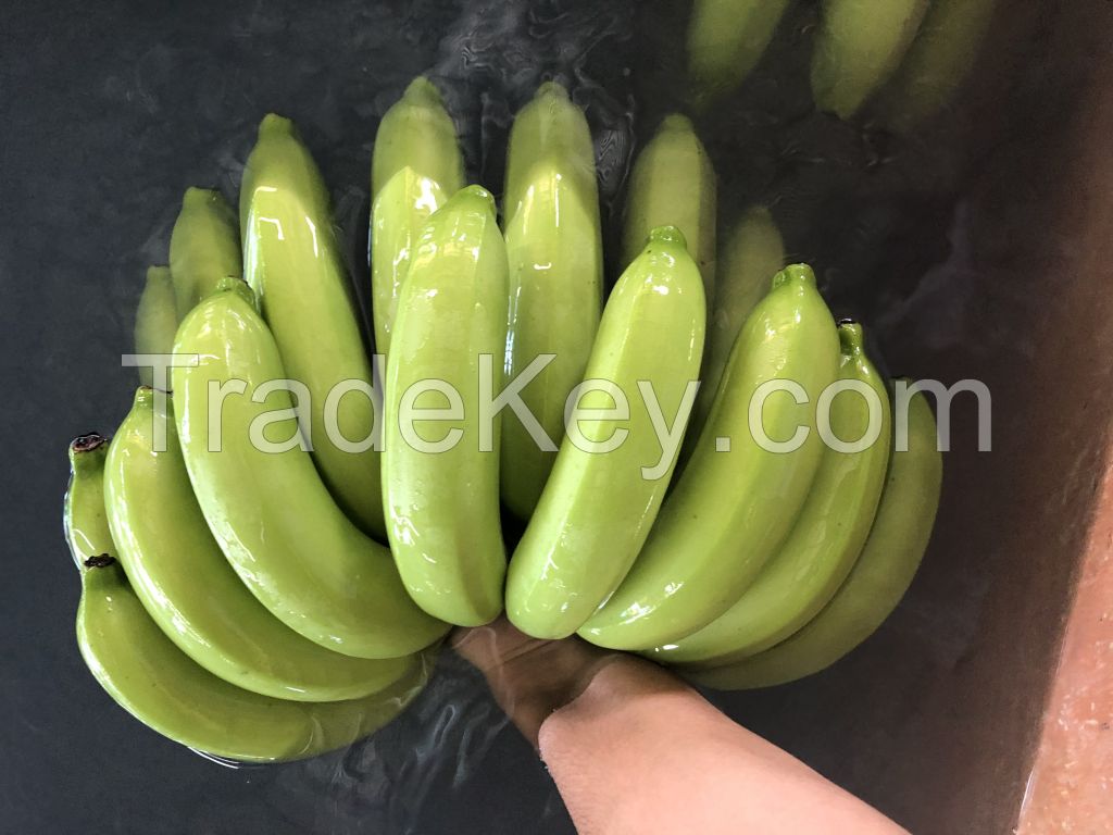 Fresh banana