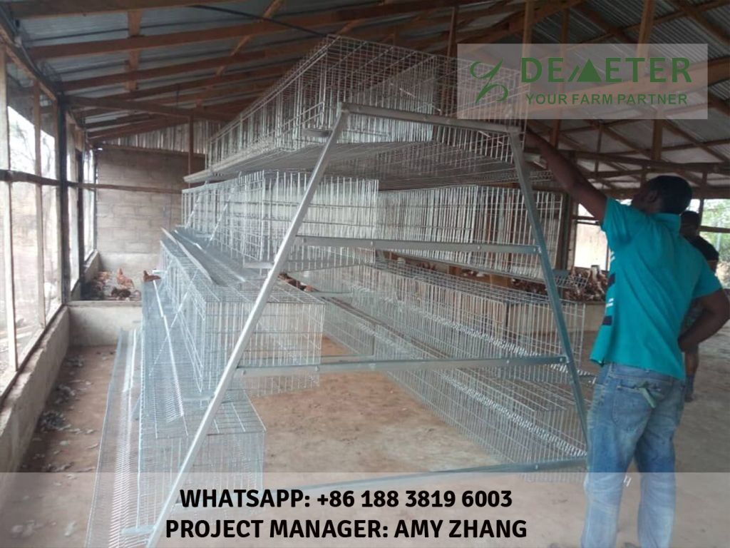 Chicken Cage Automatic System for Africa Poultry Farm