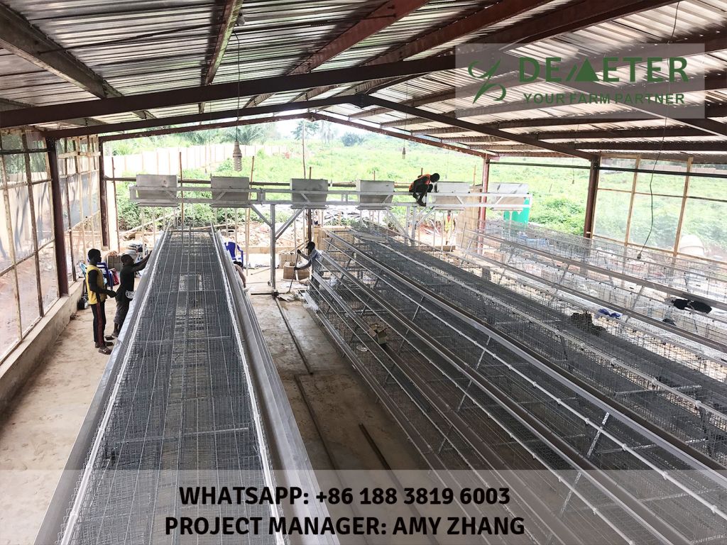 Chicken Cage Automatic System for Africa Poultry Farm