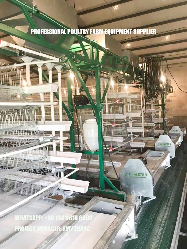 A type layer battery cages system