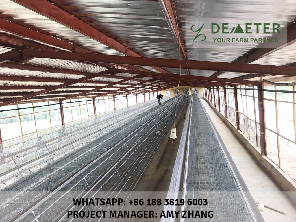 Chicken Cage Automatic System for Africa Poultry Farm