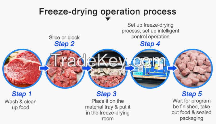 low cost affordable home food freeze dryer lyophilizer equipment for fruit and vegetable and herbal and pet food