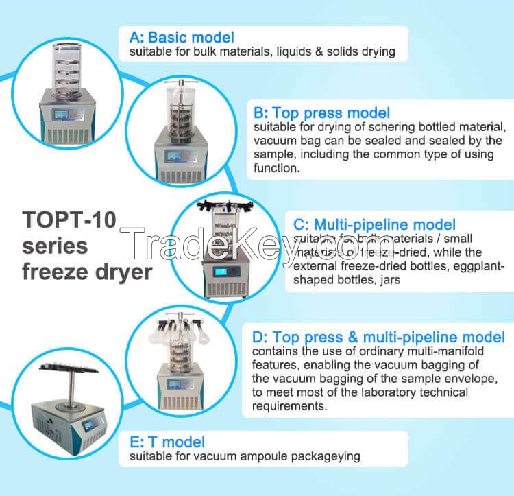 benchtop vacuum freeze dryer lyophilizer equipment for fruit and vegetable and herbal