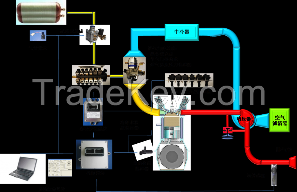 CNG Engine Control System