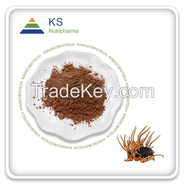 Cordyceps Mushroom Extract Powder